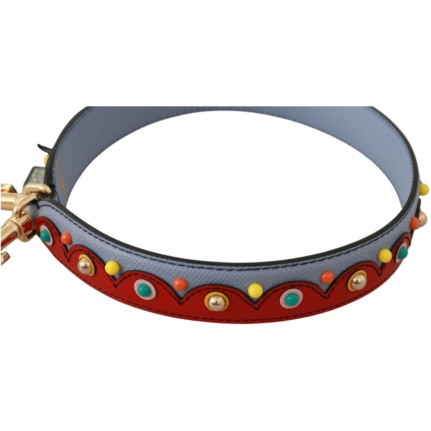 Dolce & Gabbana Blue and red Shoulder Strap Leather Blue Handbag Accessory