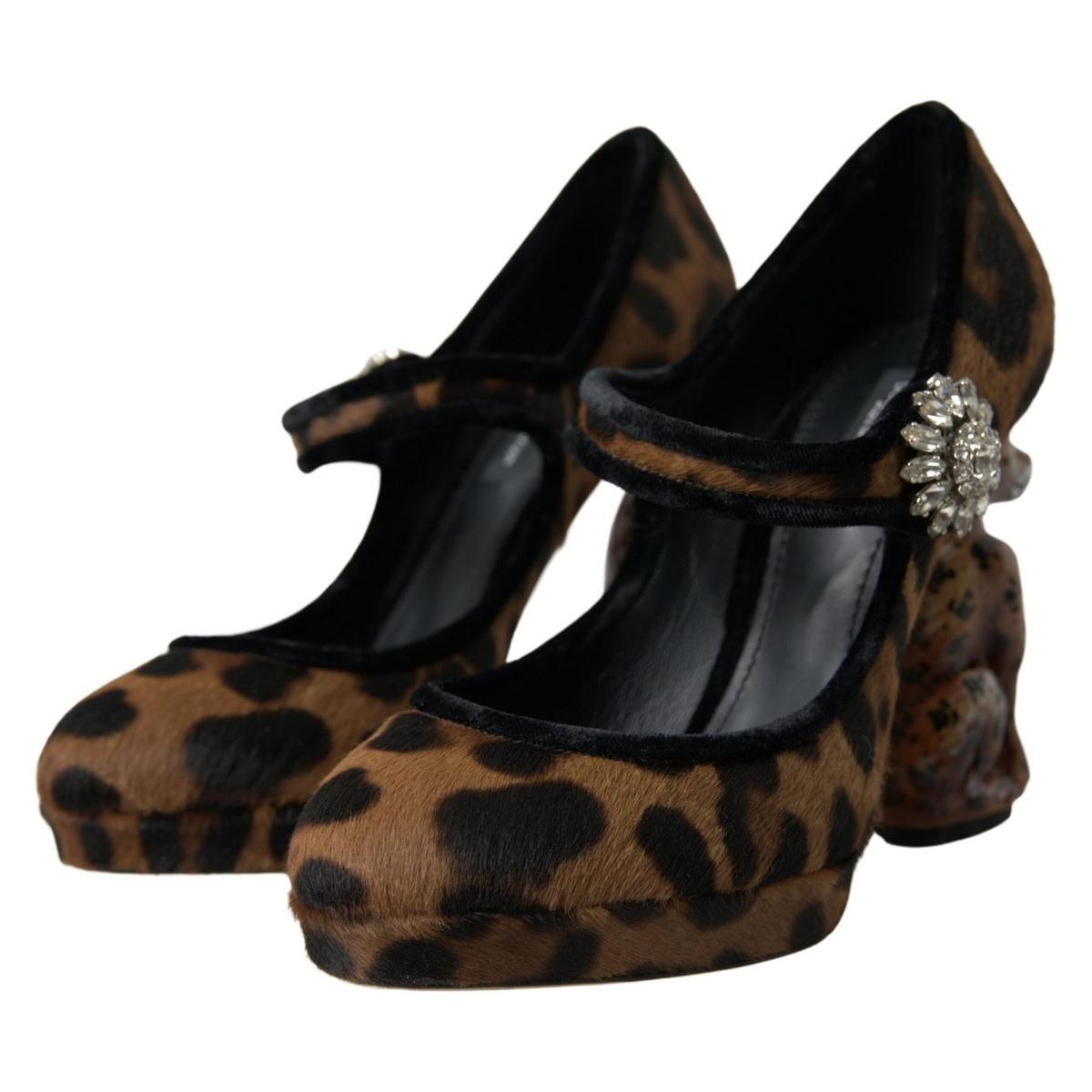 Dolce & Gabbana Elegant Leopard Heel Pumps for Chic Sophistication Dolce & Gabbana