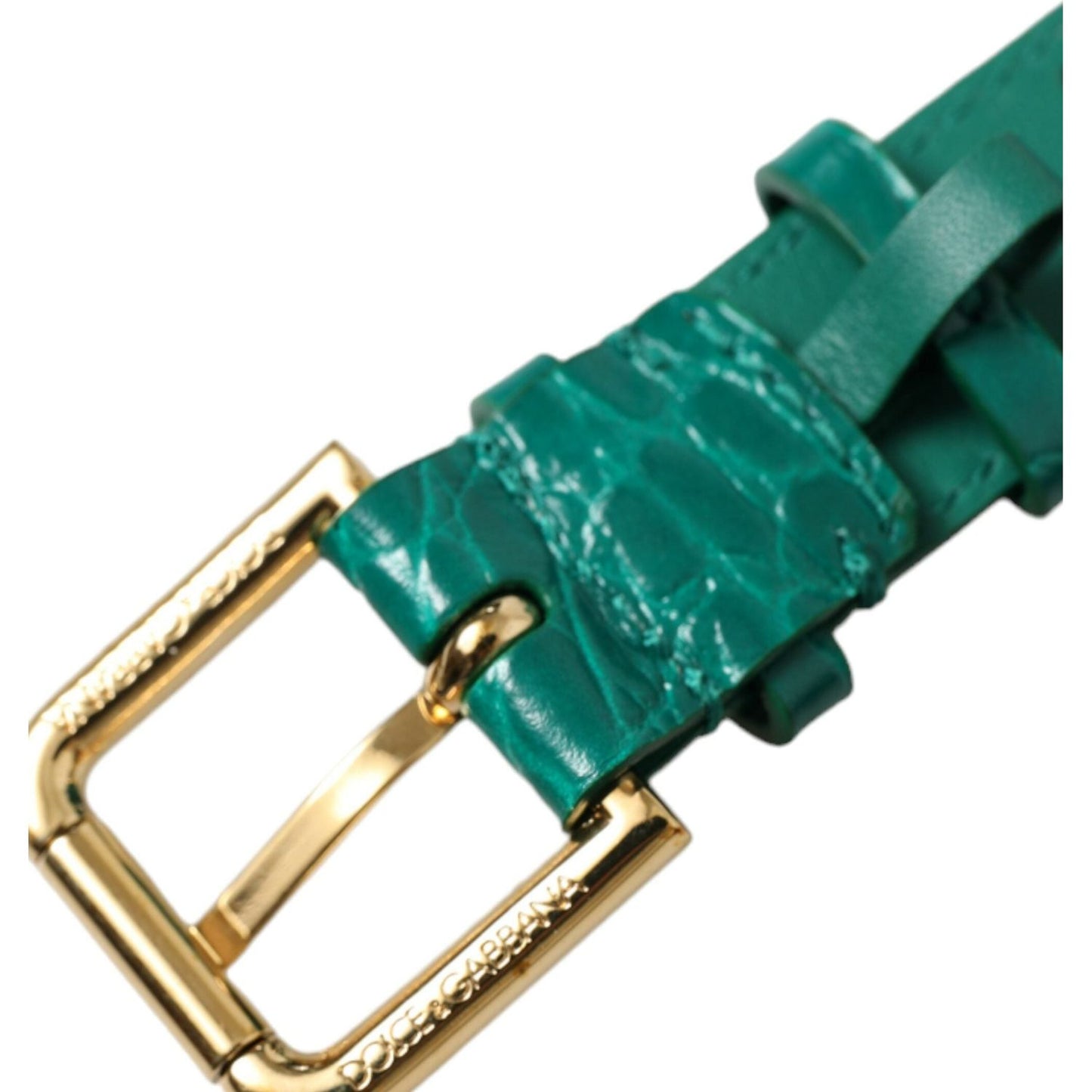 Dolce & Gabbana Green Textured Leather Gold Tone Metal Buckle Neckband