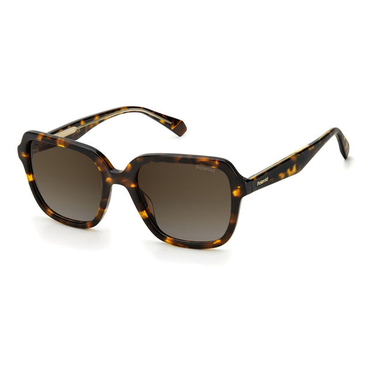 Polaroid Brown Acetate Sunglasses Polaroid
